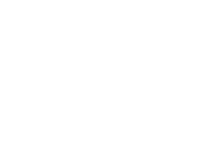 Logo Enel
